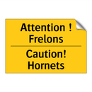 Attention ! Frelons - Caution! Hornets