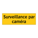 Surveillance par caméra