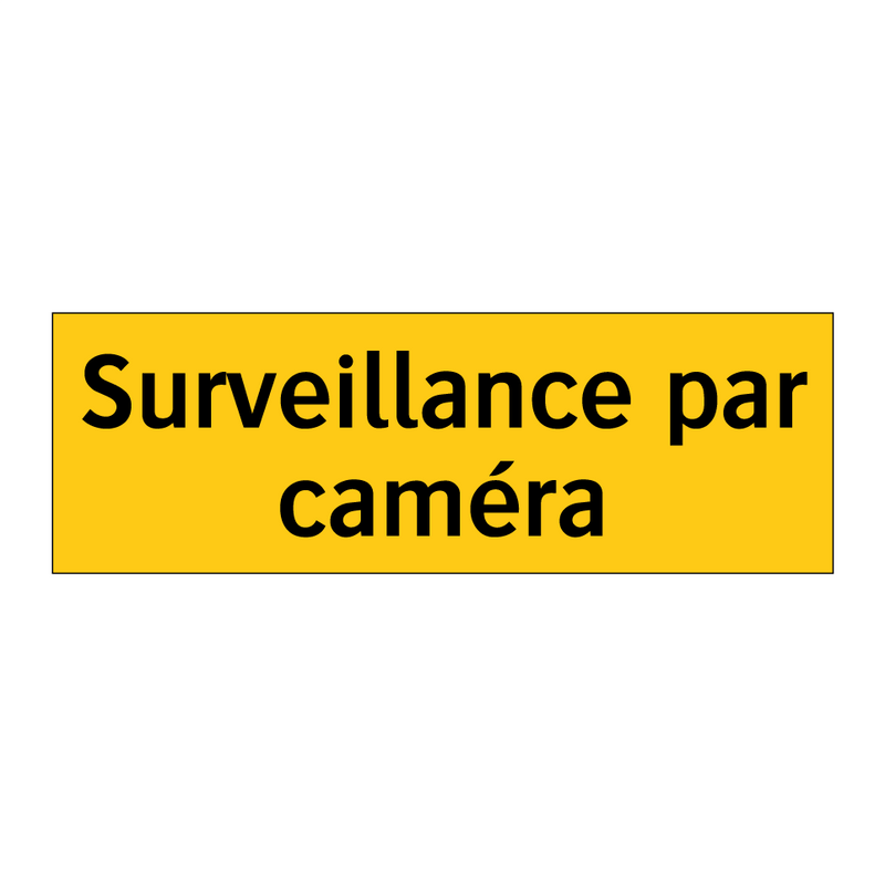 Surveillance par caméra
