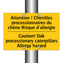 Attention ! Chenilles processionnaires  /.../ - Caution! Oak processionary caterpillars  /.../