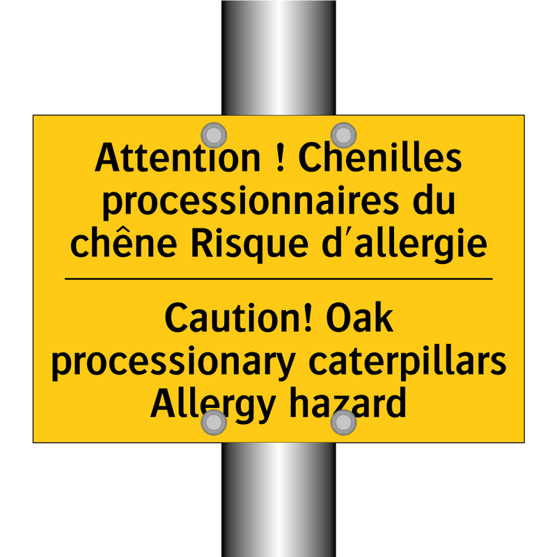 Attention ! Chenilles processionnaires  /.../ - Caution! Oak processionary caterpillars  /.../
