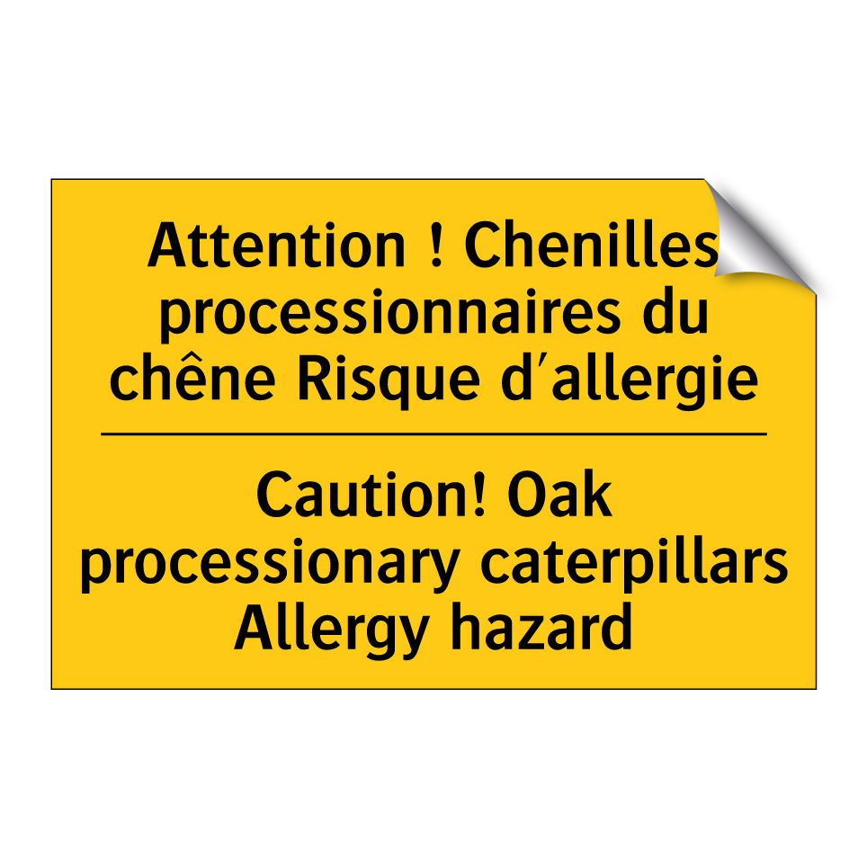 Attention ! Chenilles processionnaires  /.../ - Caution! Oak processionary caterpillars  /.../