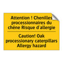 Attention ! Chenilles processionnaires  /.../ - Caution! Oak processionary caterpillars  /.../