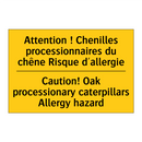 Attention ! Chenilles processionnaires  /.../ - Caution! Oak processionary caterpillars  /.../