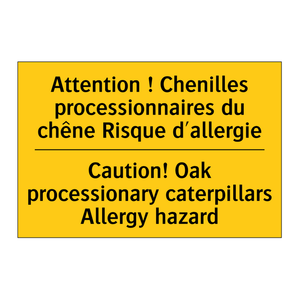 Attention ! Chenilles processionnaires  /.../ - Caution! Oak processionary caterpillars  /.../
