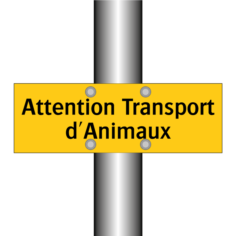 Attention Transport d'Animaux