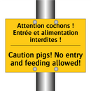 Attention cochons ! Entrée et  /.../ - Caution pigs! No entry and feeding  /.../