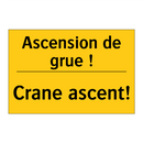 Ascension de grue ! - Crane ascent!
