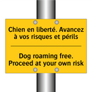 Chien en liberté. Avancez à vos  /.../ - Dog roaming free. Proceed at your  /.../