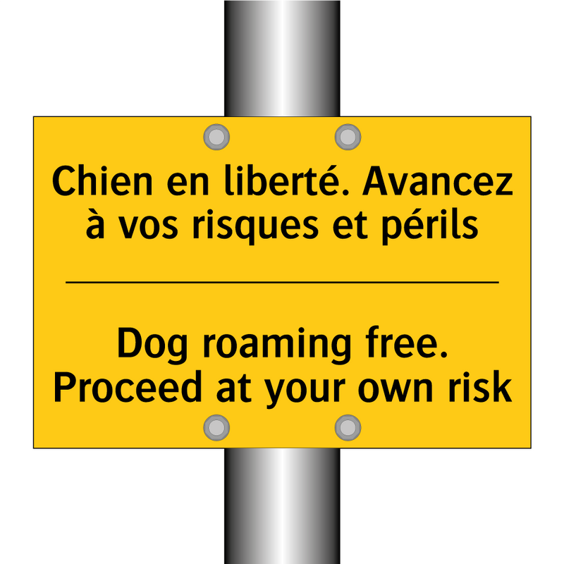 Chien en liberté. Avancez à vos  /.../ - Dog roaming free. Proceed at your  /.../
