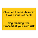 Chien en liberté. Avancez à vos  /.../ - Dog roaming free. Proceed at your  /.../