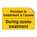 Pendant le traitement à l'ozone /.../ - During ozone treatment