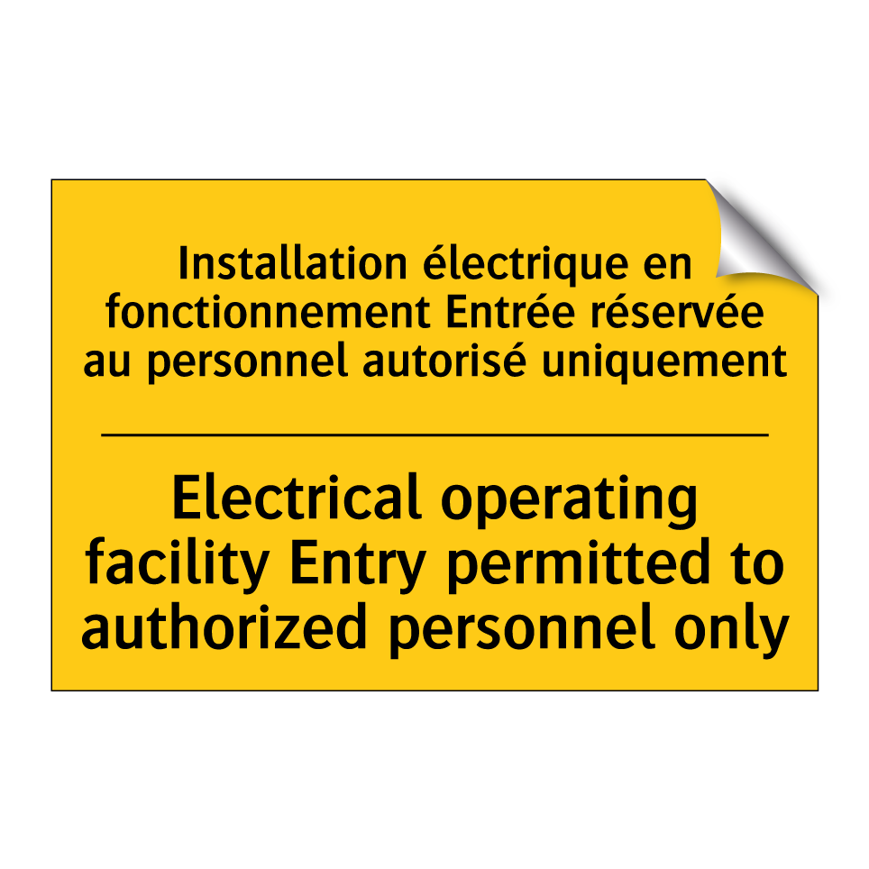 Installation électrique en fonctionnement  /.../ - Electrical operating facility  /.../