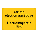 Champ électromagnétique - Electromagnetic field
