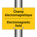Champ électromagnétique - Electromagnetic field