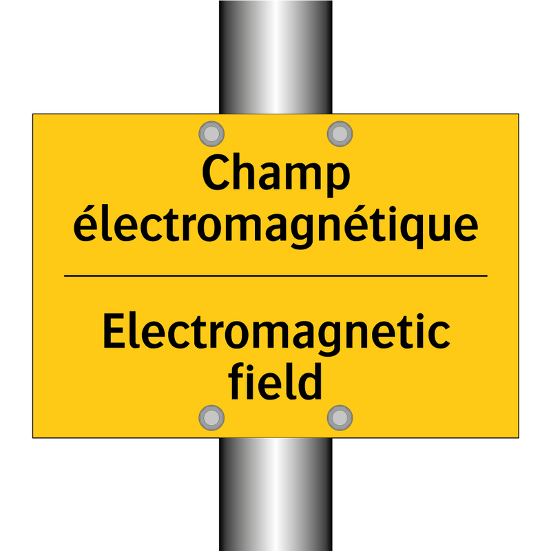 Champ électromagnétique - Electromagnetic field