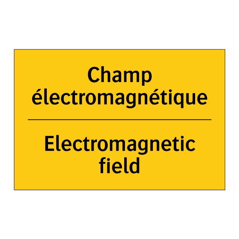 Champ électromagnétique - Electromagnetic field