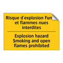 Risque d'explosion Fumer et flammes  /.../ - Explosion hazard Smoking and open  /.../