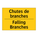 Chutes de branches - Falling Branches