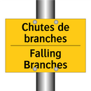 Chutes de branches - Falling Branches