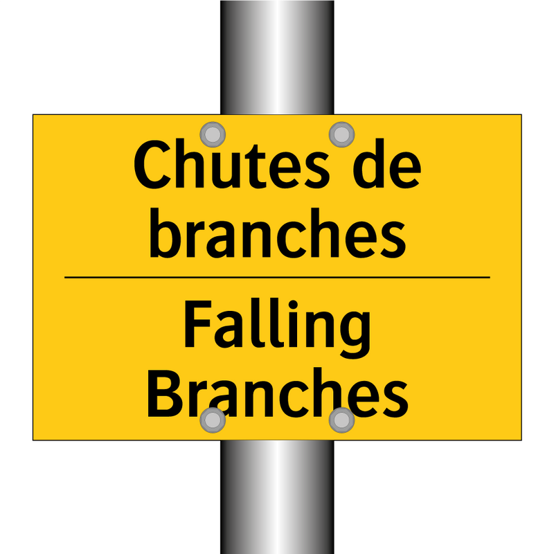 Chutes de branches - Falling Branches