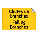 Chutes de branches - Falling Branches