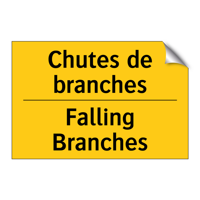 Chutes de branches - Falling Branches