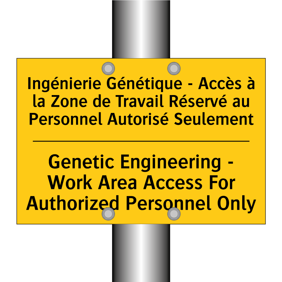 Ingénierie Génétique - Accès à  /.../ - Genetic Engineering - Work Area  /.../