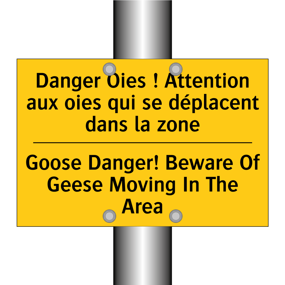 Danger Oies ! Attention aux oies  /.../ - Goose Danger! Beware Of Geese  /.../