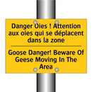 Danger Oies ! Attention aux oies  /.../ - Goose Danger! Beware Of Geese  /.../