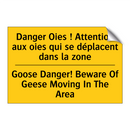 Danger Oies ! Attention aux oies  /.../ - Goose Danger! Beware Of Geese  /.../