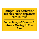 Danger Oies ! Attention aux oies  /.../ - Goose Danger! Beware Of Geese  /.../