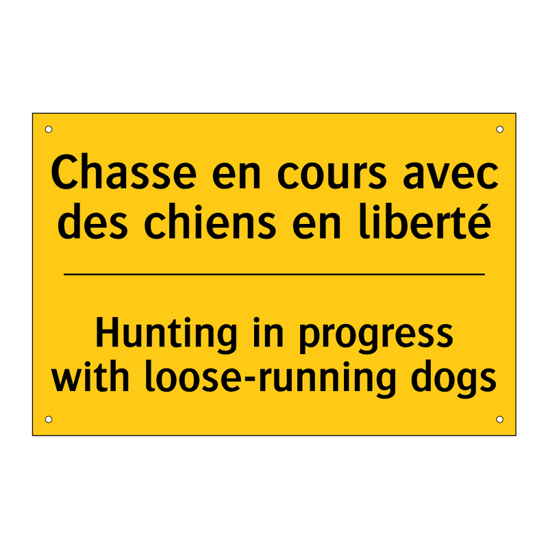 Chasse en cours avec des chiens  /.../ - Hunting in progress with loose-running  /.../