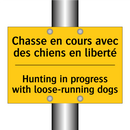 Chasse en cours avec des chiens  /.../ - Hunting in progress with loose-running  /.../