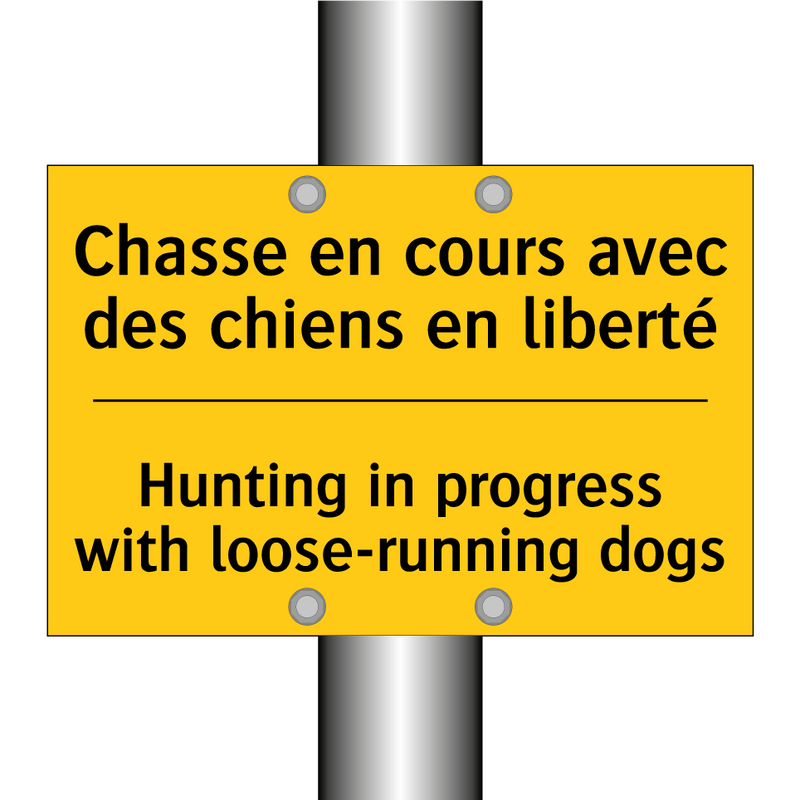 Chasse en cours avec des chiens  /.../ - Hunting in progress with loose-running  /.../
