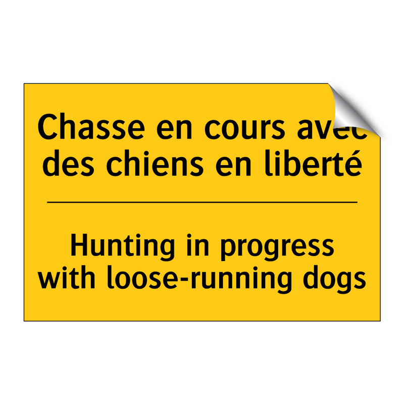 Chasse en cours avec des chiens  /.../ - Hunting in progress with loose-running  /.../