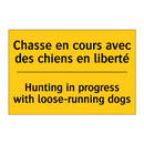 Chasse en cours avec des chiens  /.../ - Hunting in progress with loose-running  /.../