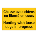 Chasse avec chiens en liberté  /.../ - Hunting with loose dogs in progress /.../