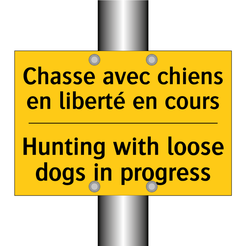 Chasse avec chiens en liberté  /.../ - Hunting with loose dogs in progress /.../