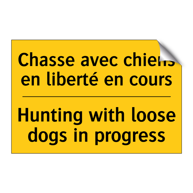 Chasse avec chiens en liberté  /.../ - Hunting with loose dogs in progress /.../