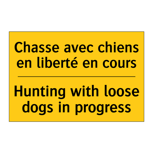 Chasse avec chiens en liberté  /.../ - Hunting with loose dogs in progress /.../