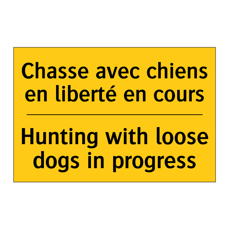 Chasse avec chiens en liberté  /.../ - Hunting with loose dogs in progress /.../