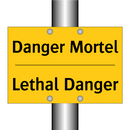 Danger Mortel - Lethal Danger