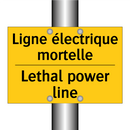 Ligne électrique mortelle - Lethal power line