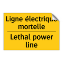 Ligne électrique mortelle - Lethal power line