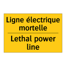 Ligne électrique mortelle - Lethal power line