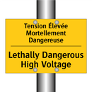 Tension Élevée Mortellement Dangereuse /.../ - Lethally Dangerous High Voltage /.../