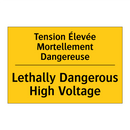 Tension Élevée Mortellement Dangereuse /.../ - Lethally Dangerous High Voltage /.../
