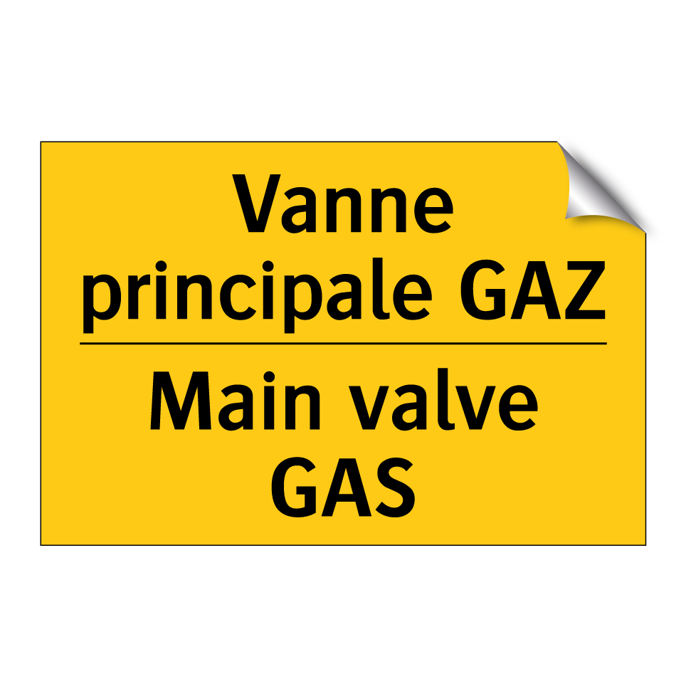 Vanne principale GAZ - Main valve GAS