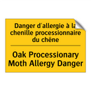 Danger d'allergie à la chenille  /.../ - Oak Processionary Moth Allergy  /.../